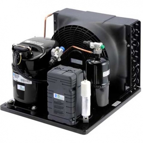 Agregat frigorific CAJN2446ZBR Tecumseh