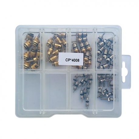 Trusa ventile climatizare auto CP4008